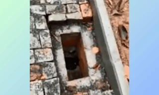 Imóvel 2712203 [''] - ['Rua Petúnia, Área 03, Padre Martinho Stein, Timbó, SC, 89093-844'] ['Padre Martinho Stein'] - ['Timbó']/['SC'] - 1