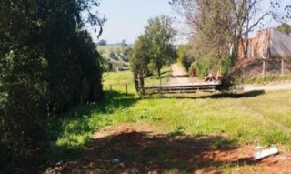 Imóvel 2690503 [''] - ['Avenida Gustavo Antônio Marcelino, S/N - Área C, Lote 02 - Conjunto Habitacional Ana Jacinta - Presidente Prudente / SP'] ['Conj. Hab. Ana Jacinta'] - ['Presidente Prudente']/['SP'] - 1