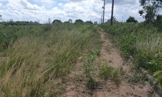 Imóvel 2537104 ['8444426567839'] - ['RUA DOS VISGUEIROS,N. SN QD C LT 17, VILA N SRA DA GLORIA - CEP: 55620-000, GLORIA DO GOITA - PERNAMBUCO'] ['Centro'] - ['Glória Do Goitá']/['PE'] - 1
