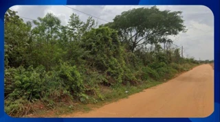 Imóvel 2489104 [''] - ['ZONA RURAL de ÁGUA PRETA'] [''] - ['Água Preta']/['PE'] - 1