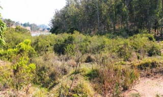 Imóvel 1721004 [''] - ['Sítio Cachoeira (BR 491), S/N, Zona Rural, Monte Belo , MG, 37115-000,'] [''] - ['Monte Belo']/['MG'] - 1