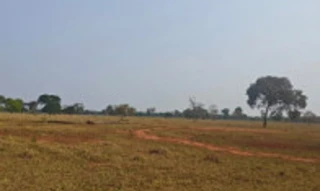 Imóvel 2922704 [''] - ['região norte da cidade de Dois Irmãos do Buriti/MS, saindo da cidade pela rodovia estadual MS 162, sentido a BR-262, seguir por 13,7 km e entrar à direita até a entrada da Fazenda Manaus'] [''] - ['Dois Irmãos Do Buriti']/['MS'] - 1