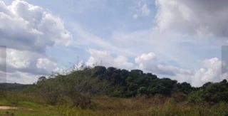 Imóvel 2875804 [''] - ['FRAÇÃO IDEAL DE 100 HECTARES DO IMÓVEL RURAL DENOMINADO FAZENDA ANGICOS'] [''] - ['Carnaubais']/['RN'] - 1