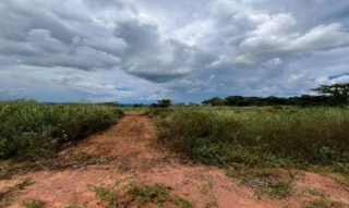 Imóvel 2630604 ['IDR186739'] - ['Rua Canadá, S/N, Lote 10, Quadra 34A, São José de Anchieta, Cerejeiras, RO, 76997-000'] [''] - ['Cerejeiras']/['RO'] - 1