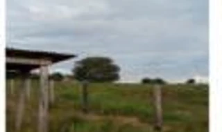 Imóvel 2920804 [''] - ['Lote Rural nº 58, Parcela 03-A, Linha 135, Setor 12, Gleba Corumbiara'] [''] - ['Vilhena']/['RO'] - 1
