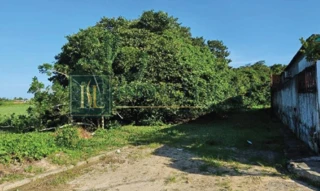 Imóvel 2972904 [''] - ['Lotes 26, 27, 28, 29, 30, 31, 32, 33 e 34 do Loteamento Comandatuba, Quadra "D", zona rural'] [''] - ['Porto Calvo']/['AL'] - 1