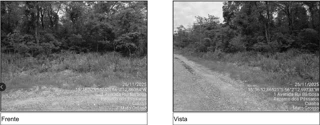 Imóvel 2949904 ['10305207'] - ['RUA B,N. S/N QD 02, LT 25, PARQUE UNIVERSITARIO - CEP: 78000-000, CUIABA - MATO GROSSO'] [''] - ['Cuiabá']/['MT'] - 1