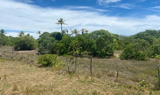 Imóvel 2602704 [''] - ['Rua QZ SN (Lote 31 da Quadra 68)'] [''] - ["Itaporanga D'Ajuda"]/['SE'] - 1