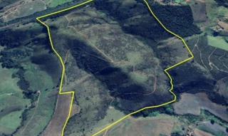 Imóvel 2593704 [''] - ['Pasto Peitudo - Fazenda Santa Maria, s/n - Zona Rural Conceição do Rio Verde - MG'] [''] - ['Conceição Do Rio Verde']/['MG'] - 1