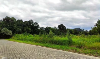 Imóvel 2596404 [''] - ['Beco Guilherme Schenkel, Centro'] ['Centro'] - ['Agrolândia']/['SC'] - 1