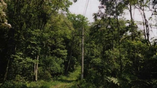 Imóvel 2661204 [''] - ['ALAMEDA RENO - (LOTE N° 13, QUADRA B, PARQUE GERMÂNIA), S/N, BOA VISTA'] [''] - ['Mairiporã']/['SP'] - 1