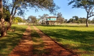 Imóvel 2871505 [''] - ['Rua Mairipora, 272, Chácara Nº 23 E Lote 21a2, Distrito De Anhandui, Campo Grande, MS'] [''] - ['Campo Grande']/['MS'] - 1