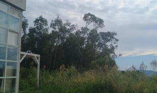 Imóvel 2895105 [''] - ['Colônia Caravaggio da Sexta Légua, s/n, Lote Rural 11, Travessão Quinze de Fevereiro'] [''] - ['Caxias Do Sul']/['RS'] - 1