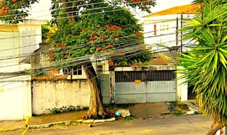 Imóvel 2963105 [''] - ['Rua General Pantaleão Teles, 75, Jardim Aeroporto, São Paulo/SP, CEP 04355-040'] ['Parque Jabaquara'] - ['São Paulo']/['SP'] - 1
