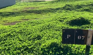 Imóvel 2695005 [''] - ['data de terras n. 10, da quadra n. 254, do Jardim Oásis'] ['Jardim Oasis'] - ['Maringá']/['PR'] - 1