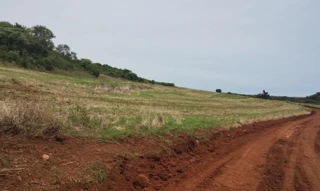 Imóvel 2853505 [''] - ['Linha Ferraz'] [''] - ['Redentora']/['RS'] - 1