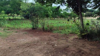 Imóvel 1730805 [''] - ['R. Paraiba - (centro), Setor 01'] [''] - ['Cornélio Procópio']/['PR'] - 1
