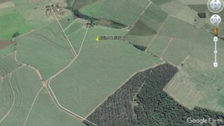 Imóvel 2635505 [''] - ['Sítio São Pedro, Onça, Santa Cruz do Rio Pardo, SP'] ['Jardim Umuarama'] - ['Santa Cruz Do Rio Pardo']/['SP'] - 1