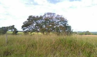 Imóvel 2484205 [''] - ['RUA. SAO PAULO, 268, DISTRITOS SERRA DOS DOURADOS'] [''] - ['Umuarama']/['PR'] - 1