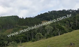 Imóvel 2486905 [''] - ['DISTRITO DE PASSO MANSO, s/n'] [''] - ['Taió']/['SC'] - 1