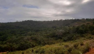 Imóvel 2653905 [''] - ['Quadra R-38, Loteamento Cidade Balneário Novo Mundo, Distrito de Jacumã'] ['Jacumã'] - ['Conde']/['PB'] - 1