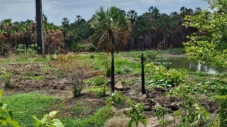 Imóvel 2615305 [''] - [', SN - Cajazeiras'] ['Cajazeiras'] - ['Fortaleza']/['CE'] - 1