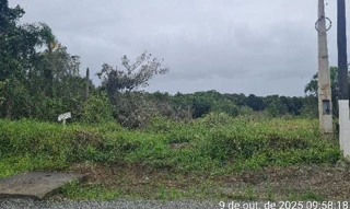 Imóvel 2553805 ['8444428193812'] - ['RUA 2850 - PESCADA,N. SN LT 11 QD 33 LOT JD ARAXA, BELA VISTA - CEP: 88380-000, BALNEARIO PICARRAS - SANTA CATARINA'] [''] - ['Balneário Piçarras']/['SC'] - 1