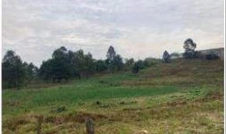 Imóvel 2609105 [''] - ['Bairro Thomaz Coelho, do Município de Araucária, Estado do Paraná'] ['Thomaz Coelho'] - ['Araucária']/['PR'] - 1