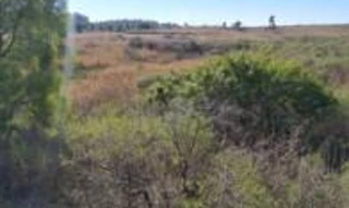 Imóvel 2679305 [''] - ['Estrada Federal BR 293, Km 136,5'] [''] - ['Pelotas']/['RS'] - 1