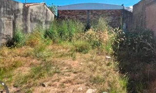 Imóvel 2611205 [''] - ['Nao informado Nao informado'] [''] - ['Santa Maria das Barreiras']/['PA'] - 1