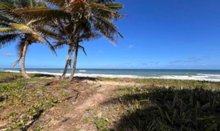 Imóvel 2654205 [''] - ['lotes 27 e 28, município de Mata de São João'] [''] - ['Mata De São João']/['BA'] - 1