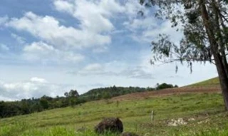 Imóvel 2645906 [''] - [', SN - LINHA BOA ESPERANÇA - INTERIOR'] [''] - ['Vicente Dutra']/['RS'] - 1