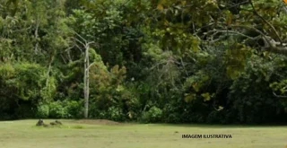 Imóvel 2647206 [''] - ['Fazenda Santa Rita do Bracuí'] ['Santa Rita do Bracuí'] - ['Angra Dos Reis']/['RJ'] - 1