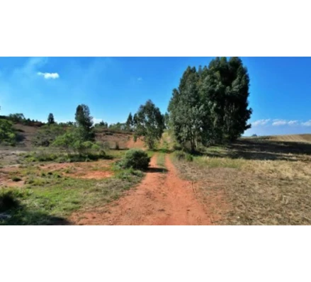 Terreno em Fazenda Rio Grande, Eucaliptos, Av. Francisco Ferreira da Cruz, 5715, PR. Área: 36000m2 - imagem 0
