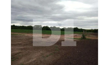 Imóvel rural em Tambaú, , Rodovia Tambau Mococa, 180, Mococa, SP. Área: 24.2m2 - imagem 0