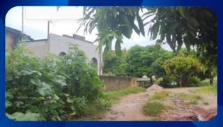 Imóvel 2581106 [''] - ['Rua Conde de Alegrete, 41, Loteamento Jardim Botânico, Imbiribeira'] ['Imbiribeira'] - ['Recife']/['PE'] - 1