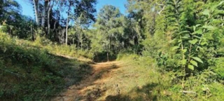 Imóvel 2702106 [''] - ['CAMPESTRE, em Colombo/PR'] [''] - ['Colombo']/['PR'] - 1