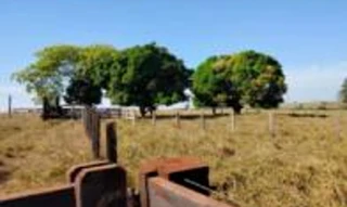 Imóvel 2480706 [''] - ['Setor Chácaras'] [''] - ['Juína']/['MT'] - 1