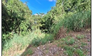 Imóvel 2583306 ['10258757'] - ['RUA CONCEICAO DO CASTELO,N. S/N QD 05, LT 09, BELVEDERE - CEP: 29180-048, SERRA - ESPIRITO SANTO'] ['Belvedere'] - ['Serra']/['ES'] - 1