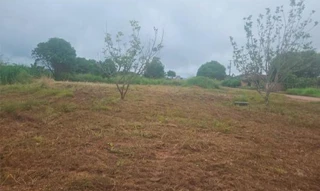 Imóvel 2608106 [''] - ['Rua Domingos Barbosa S/N (Lote 06 da Quadra 258)'] [''] - ['Rurópolis']/['PA'] - 1