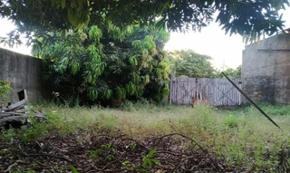 Imóvel 2596606 [''] - ['Nao informado Nao informado'] [''] - ['São Geraldo Do Araguaia']/['PA'] - 1