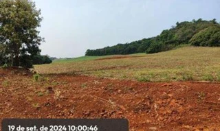 Imóvel 2652506 [''] - ['Lote rural, n°24, da Gleba n°77-FB, do Núcleo de Francisco Beltrão, da Colônia das Missões'] [''] - ['Enéas Marques']/['PR'] - 1