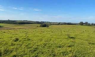Imóvel 2925407 [''] - ['Área rural à venda em Itaí/SP - Fazenda Restinga Grossa'] [''] - ['Itaí']/['SP'] - 1