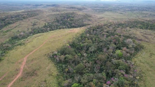 Imóvel 3066907 [''] - ['FAZENDA SETE GALHOS I-A, ., SETOR RIO BRANCO'] [''] - ["Alta Floresta D'Oeste"]/['RO'] - 1