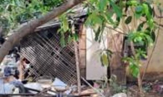 Imóvel 2601307 [''] - ['Loteamento da P.M.V., Gurigica de Fora'] ['Bento Ferreira'] - ['Vitória']/['ES'] - 1