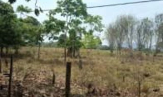 Imóvel 2707807 [''] - ['Setor São Miguel, do PF/Guajará-Mirim, Gleba Rio Branco, Sítio Santa Rita'] [''] - ['São Miguel Do Guaporé']/['RO'] - 1