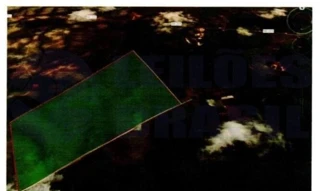 Imóvel 2713107 [''] - ['FAZENDA'] [''] - ['Alto Alegre']/['RR'] - 1