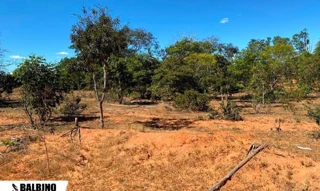 Imóvel 2647607 [''] - [', Alto Araguaia, MT'] [''] - ['Alto Araguaia']/['MT'] - 1