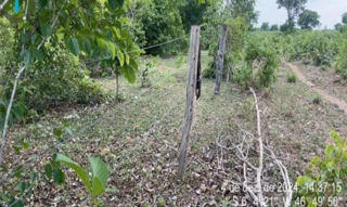 Imóvel 3028907 [''] - ['Rodovia MA-226, Km 25, S/N, Zona Rural de Lajeado Novo/MA, Lajeado Novo, MA, 65937-000,'] [''] - ['Lajeado Novo']/['MA'] - 1