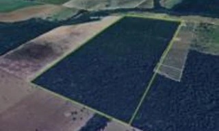 Imóvel 2601407 [''] - ['Fazenda c/ 196,7754 hectares, lote de terras rural sob n°. 04 Remanescente, Gleba Lote 13, Setor 01'] [''] - ['Cacoal']/['RO'] - 1